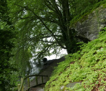 P1070296