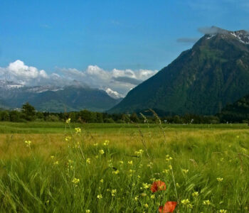 landscape-1-sm